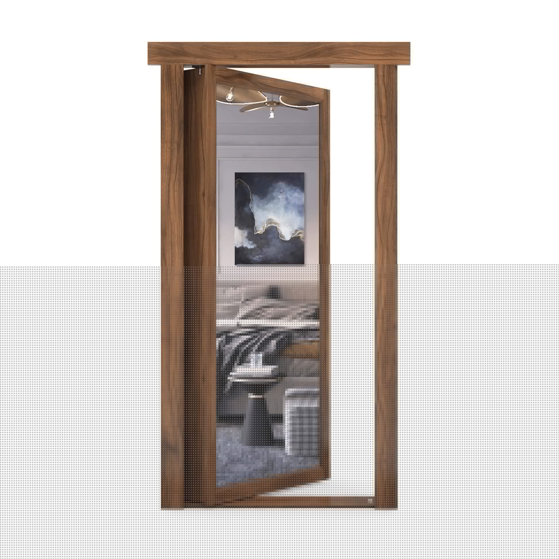 Mirror Door - Murphy Door