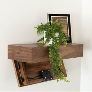 Secret Murphy Shelves